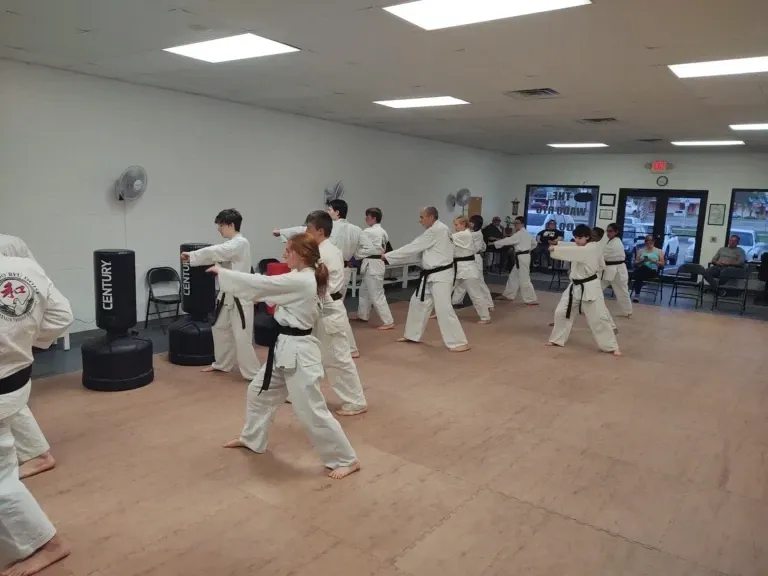 Adult Martial Arts Program
