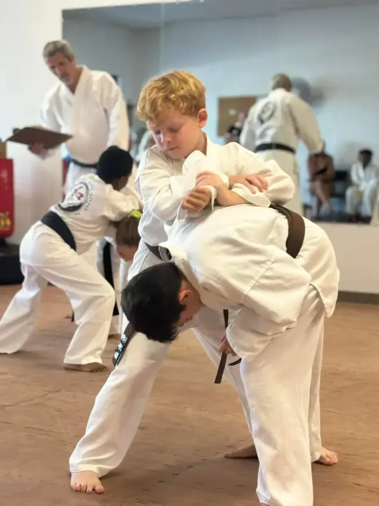 Kids Martial Arts Program