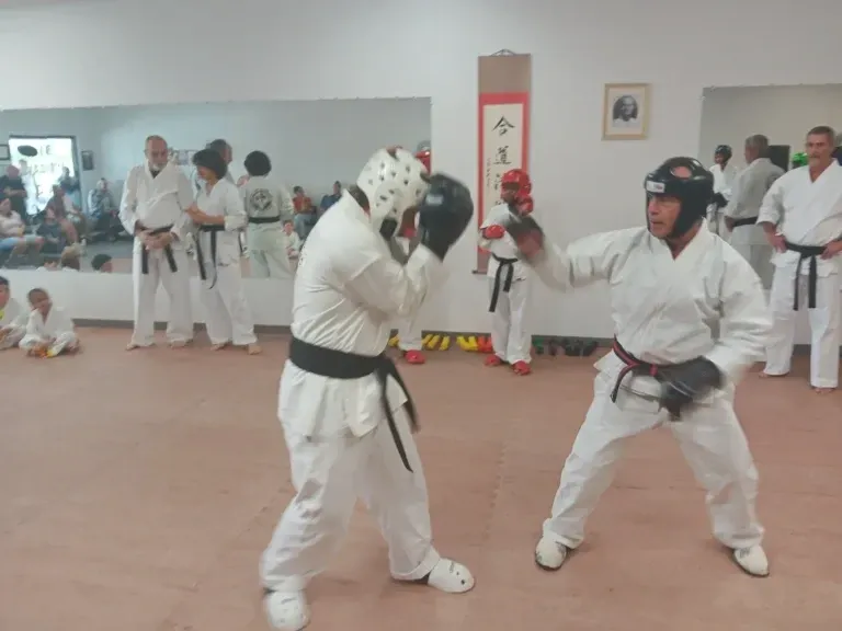 Adult martial arts students